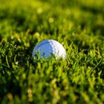 close up of a golf ball in the green grass